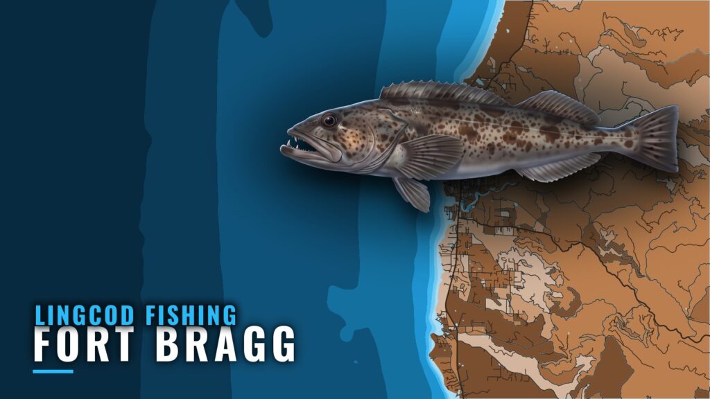 Lingcod Fishing Out of Fort Bragg: When, Where and Who