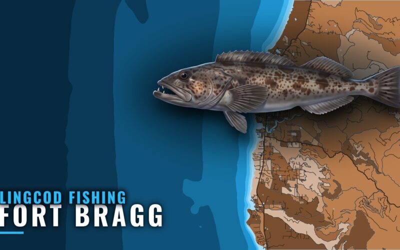 Lingcod Fishing Out of Fort Bragg: When, Where and Who