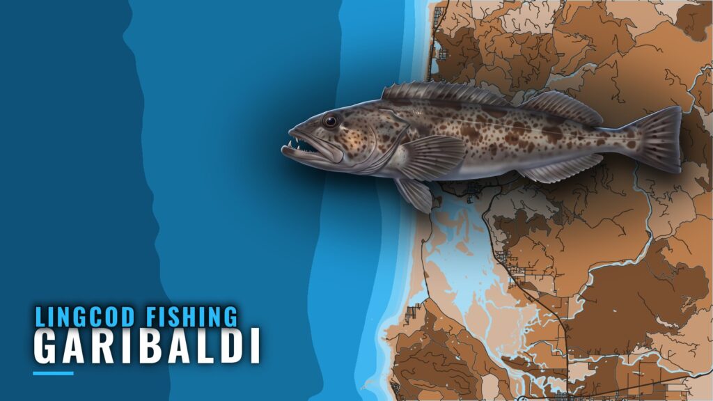 Lingcod Fishing Out of Garibaldi: Reef, Rock and Buoy