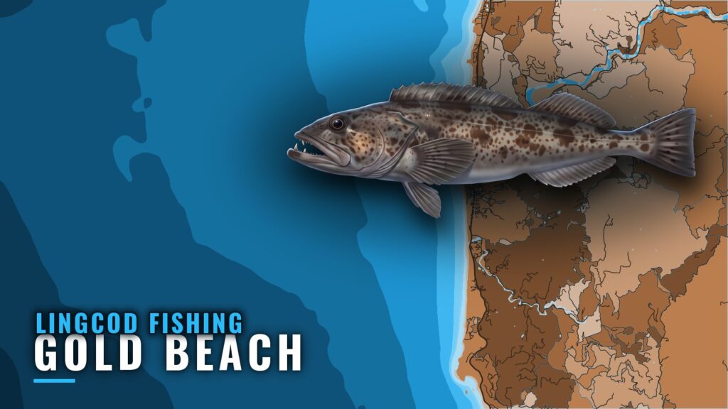 Lingcod Fishing Out of Gold Beach: Season, Reef, Depth