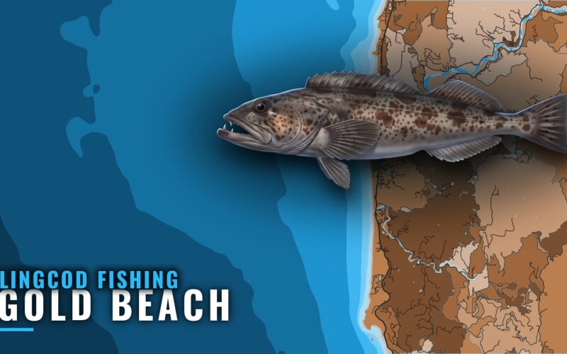 Lingcod Fishing Out of Gold Beach: Season, Reef, Depth