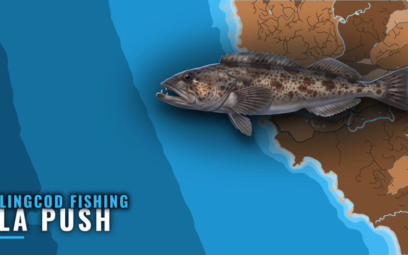 Lingcod Fishing Out of La Push: Rocks, Depths and Runs