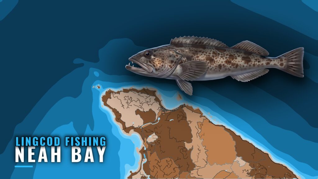 Lingcod Fishing Out of Neah Bay: Grounds, Depths, Season