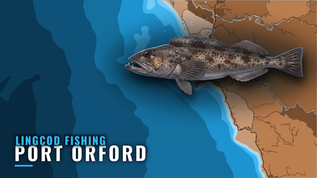 Lingcod Fishing Out of Port Orford: Season, Reefs, Rules