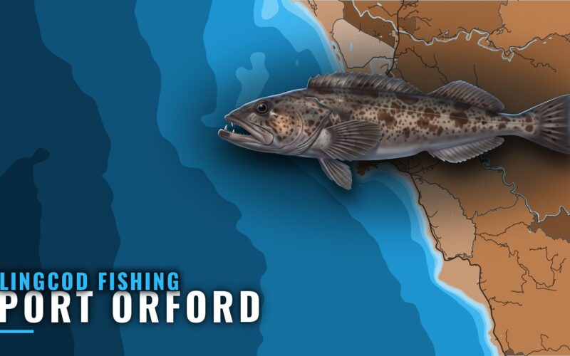 Lingcod Fishing Out of Port Orford: Season, Reefs, Rules