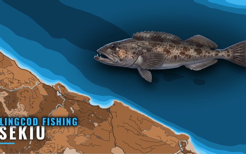 Lingcod Fishing Out of Sekiu: Grounds, Depths and Methods