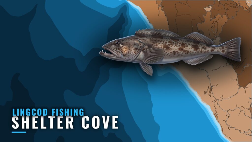 Lingcod Fishing Out of Shelter Cove: Grounds, Runs, Buoy