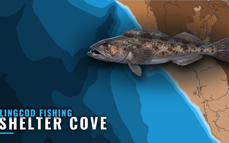 Lingcod Fishing Out of Shelter Cove: Grounds, Runs, Buoy