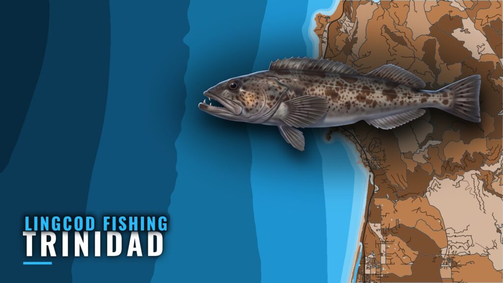 Lingcod Fishing Out of Trinidad: Reefs, Depths and Runs