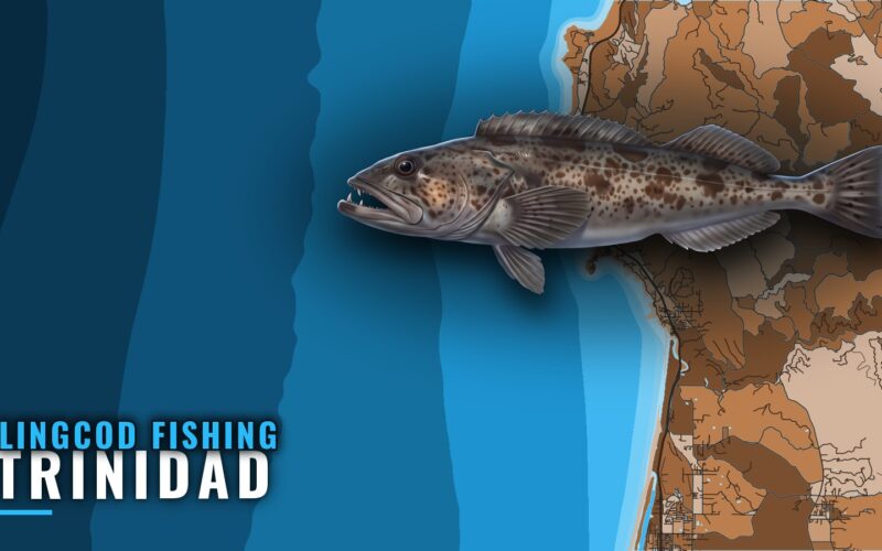 Lingcod Fishing Out of Trinidad: Reefs, Depths and Runs
