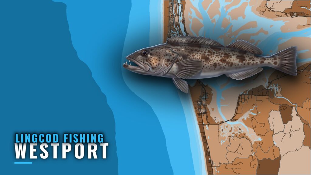 Lingcod Fishing Out of Westport: Grounds, Depths, Methods