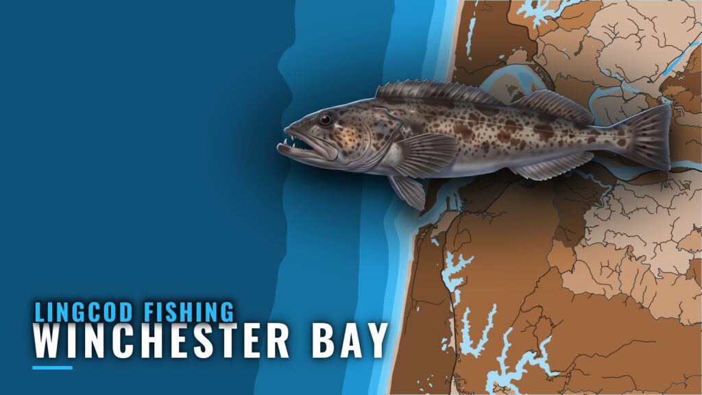 Lingcod Fishing Out of Winchester Bay: Grounds and Timing