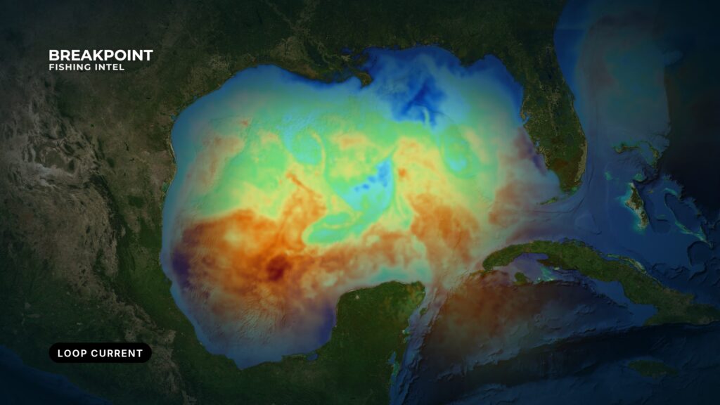 The Loop Current and Gulf Fishing: Read the Edge