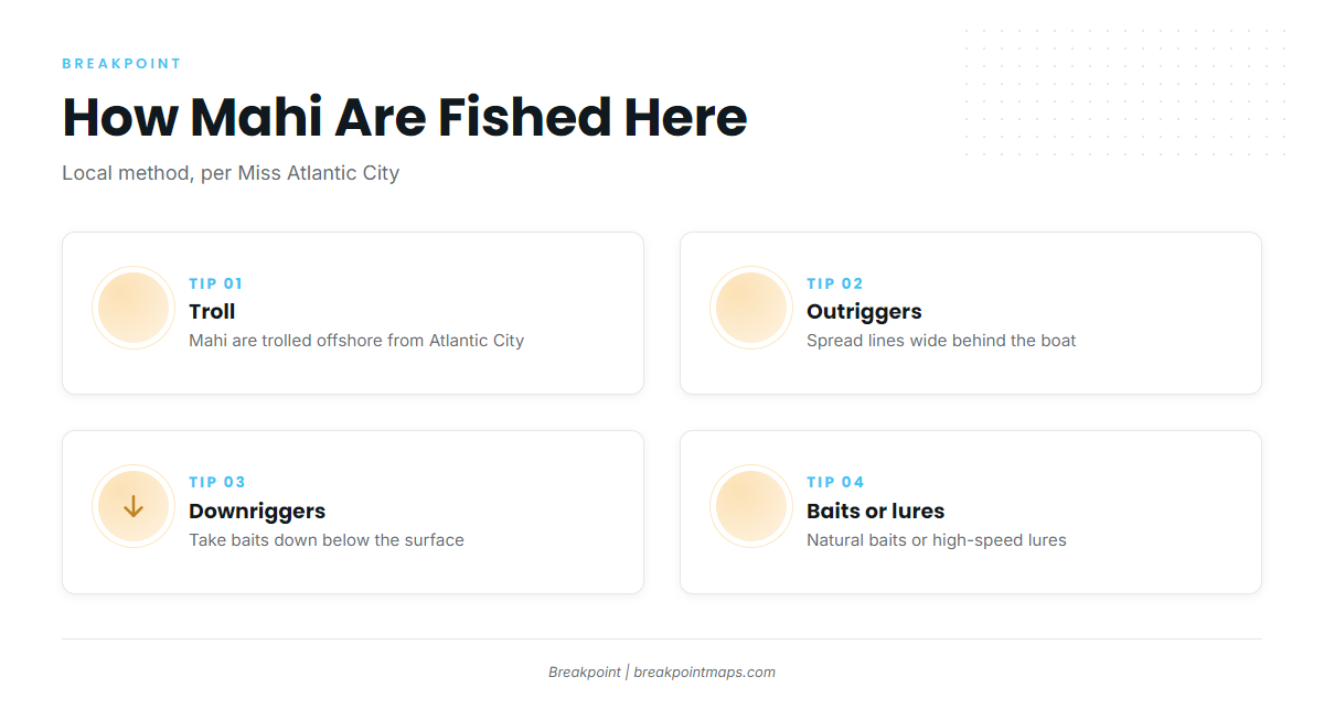 How mahi are fished out of Atlantic City