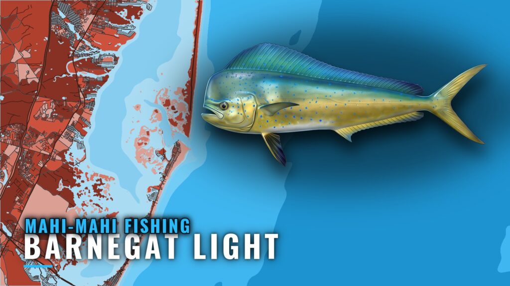 Mahi-mahi fishing out of Barnegat Light: runs, reefs, boats