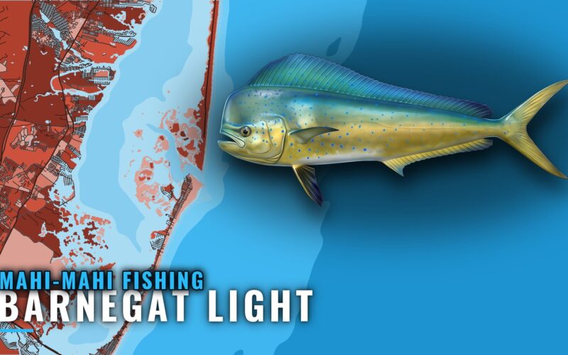 Mahi-mahi fishing out of Barnegat Light: runs, reefs, boats