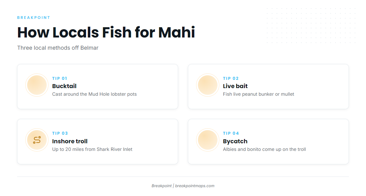 How Mahi Are Fished Here