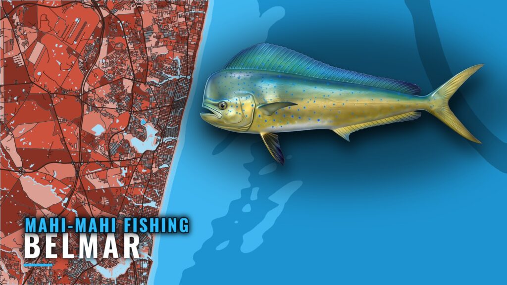Mahi-mahi Fishing out of Belmar: Mud Hole Pots and Reefs