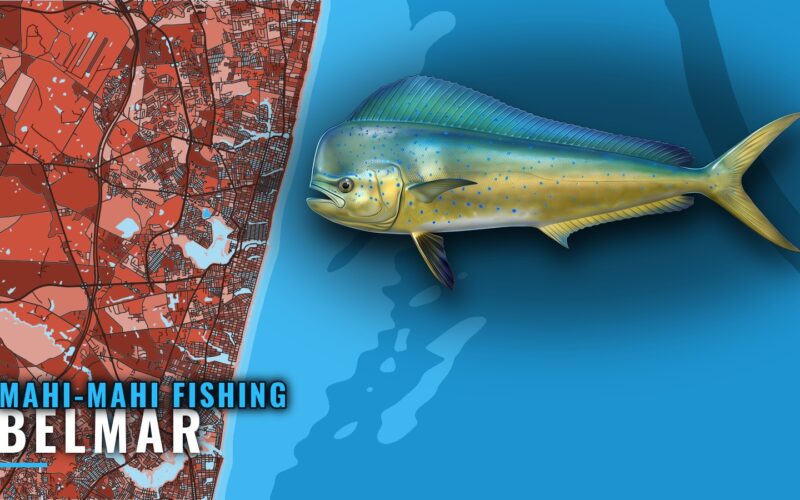 Mahi-mahi Fishing out of Belmar: Mud Hole Pots and Reefs