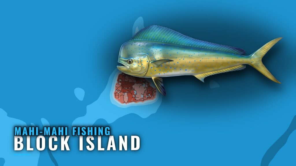Mahi-Mahi Fishing Out of Block Island: When, Where, How