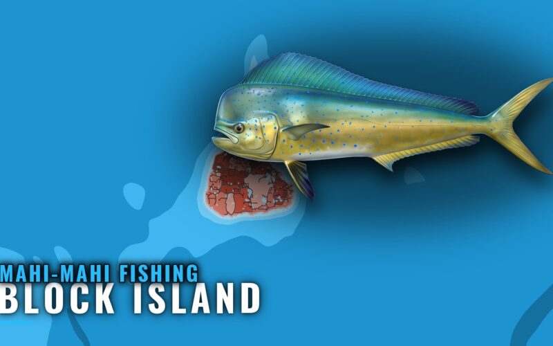 Mahi-Mahi Fishing Out of Block Island: When, Where, How