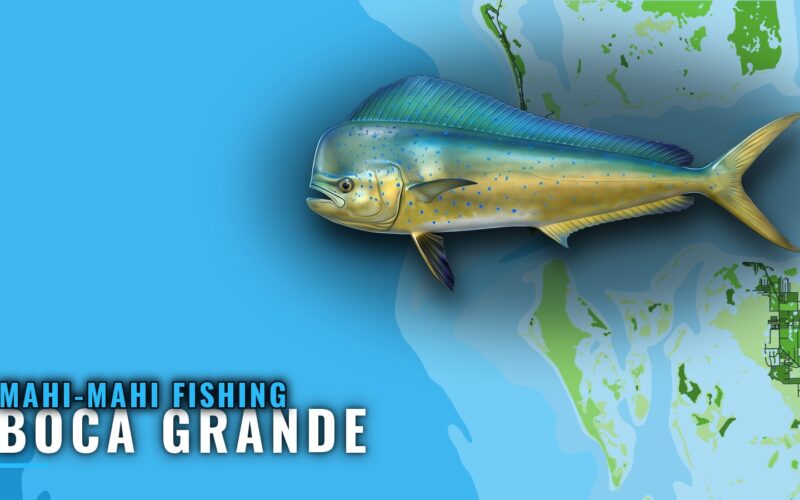 Mahi-Mahi Fishing Out of Boca Grande: Reefs and Runs