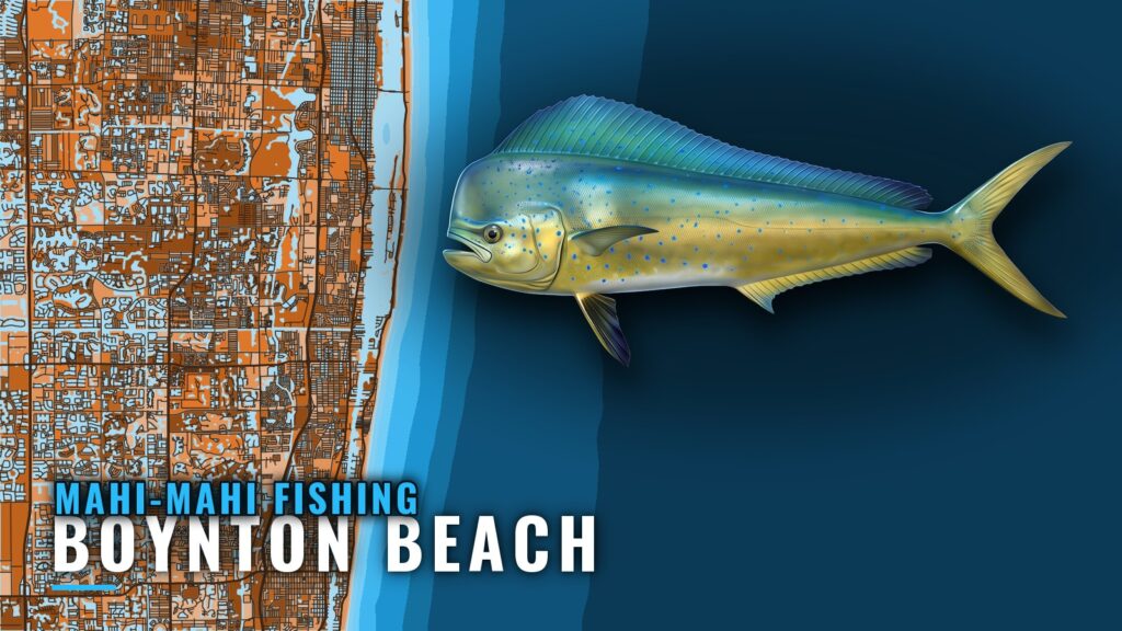 Mahi-mahi fishing out of Boynton Beach: when, where, how