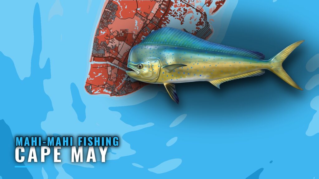 Mahi-mahi Fishing Out of Cape May: Season, Depth, Grounds