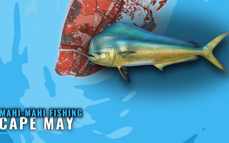 Mahi-mahi Fishing Out of Cape May: Season, Depth, Grounds