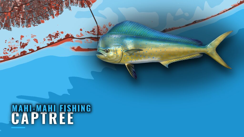 Mahi-mahi Fishing Out of Captree: Reefs, Runs and Rules