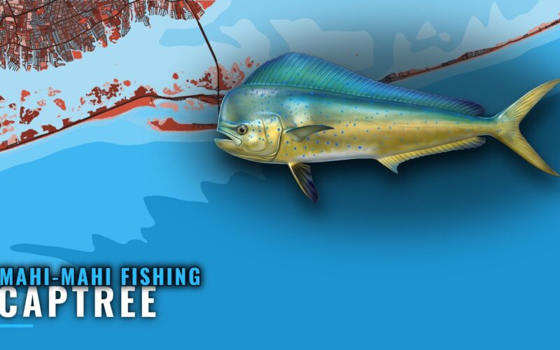 Mahi-mahi Fishing Out of Captree: Reefs, Runs and Rules