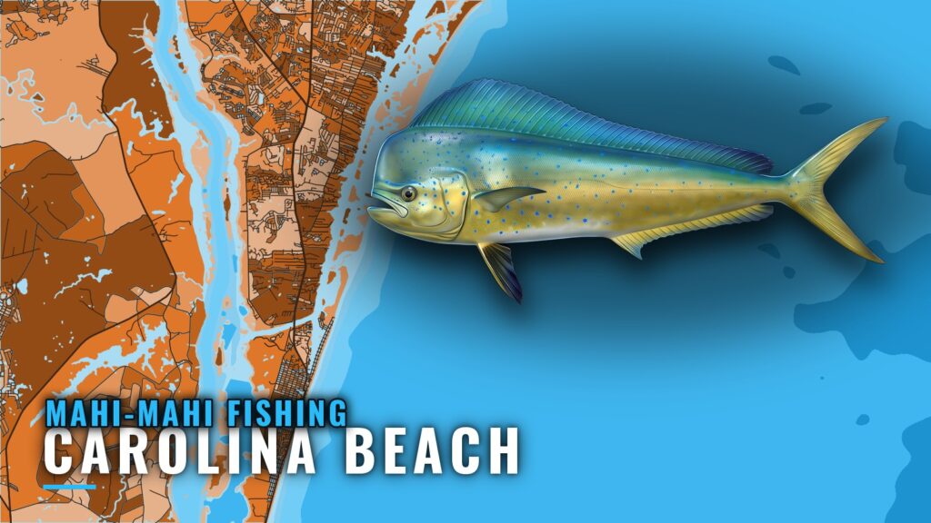 Mahi-Mahi Fishing Out of Carolina Beach: Runs and Grounds