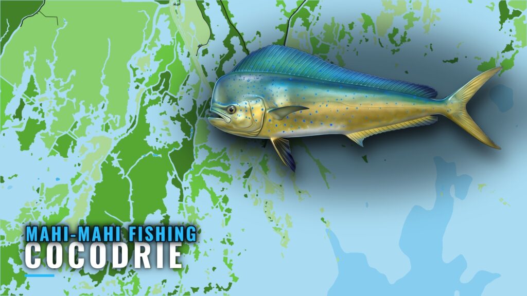 Mahi-mahi fishing out of Cocodrie: grounds and depths