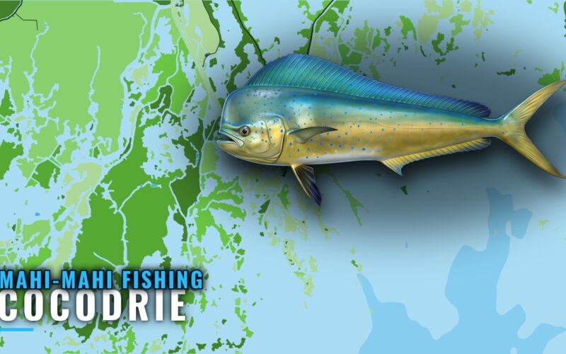 Mahi-mahi fishing out of Cocodrie: grounds and depths