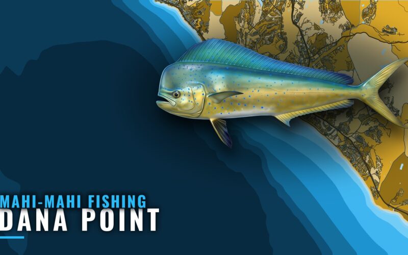 Mahi-mahi Fishing out of Dana Point: Season and Runs