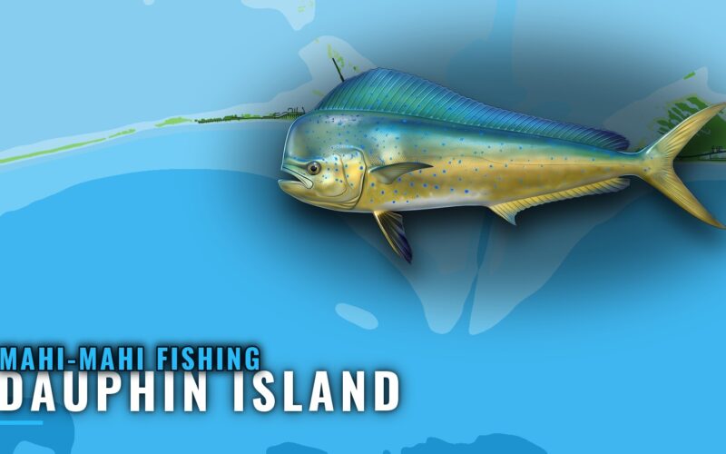 Mahi-Mahi Fishing Out of Dauphin Island: Reefs and Runs
