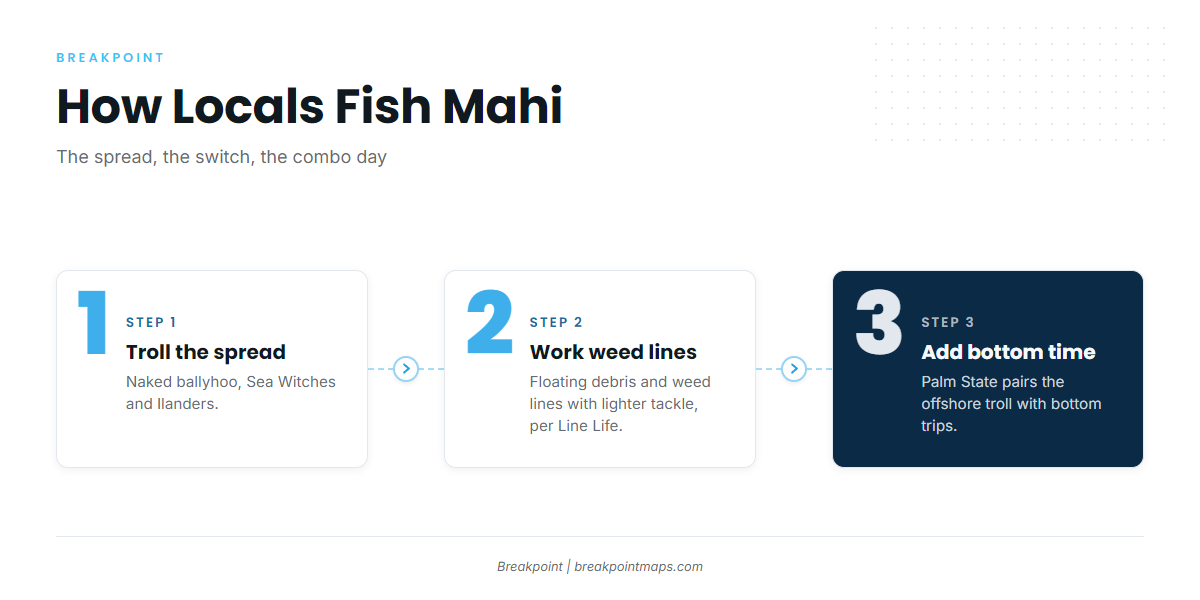 How mahi-mahi are fished out of Edisto