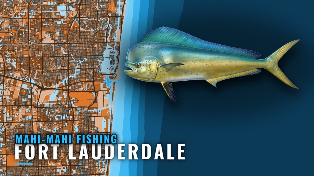 Mahi-Mahi Fishing Out of Fort Lauderdale: Grounds and Runs