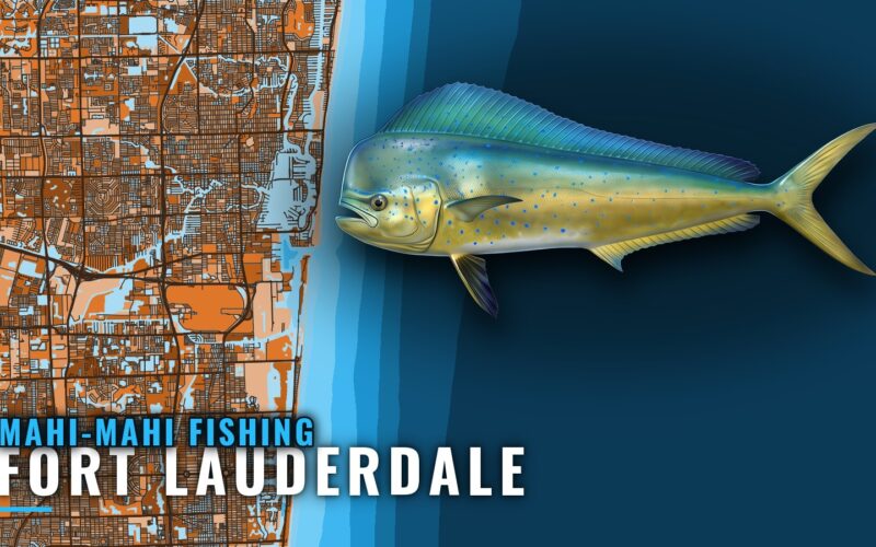 Mahi-Mahi Fishing Out of Fort Lauderdale: Grounds and Runs