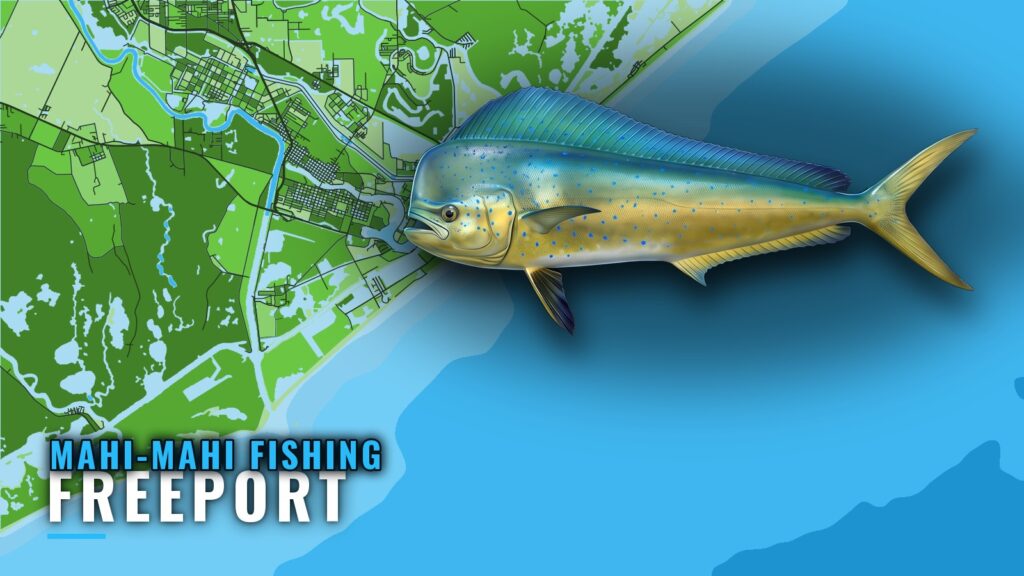 Mahi-mahi Fishing Out of Freeport: Season, Run and Grounds