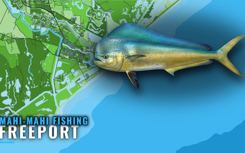 Mahi-mahi Fishing Out of Freeport: Season, Run and Grounds