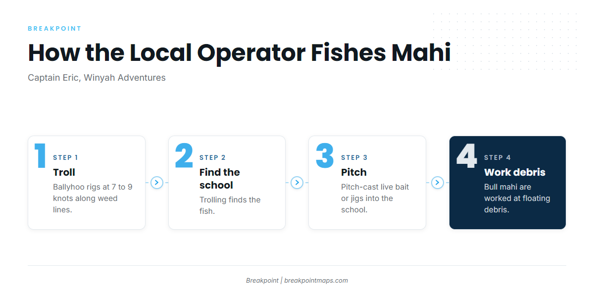 How mahi are fished out of Georgetown