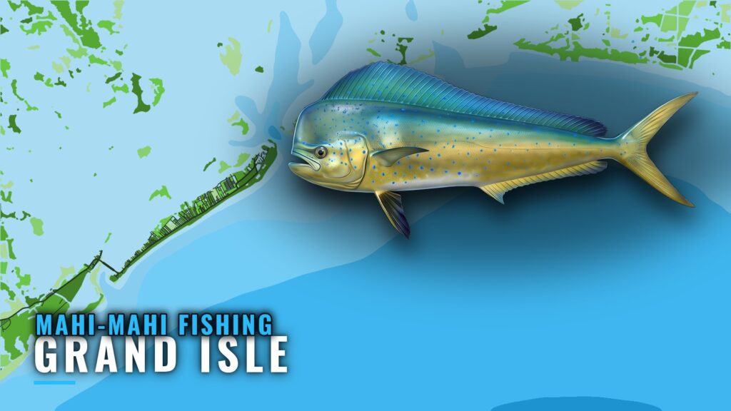 Mahi-mahi Fishing Out of Grand Isle: Rigs and Banks