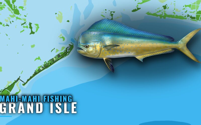 Mahi-mahi Fishing Out of Grand Isle: Rigs and Banks