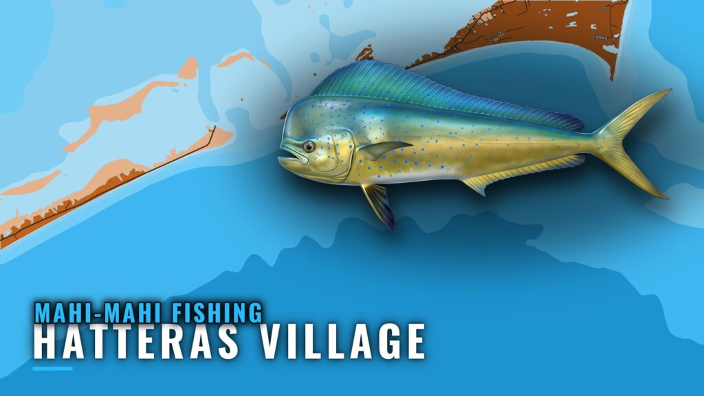 Mahi-mahi Fishing Out of Hatteras Village: Port Guide
