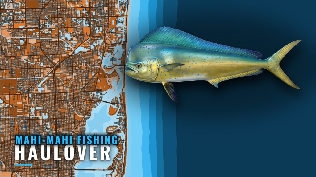 Mahi-Mahi Fishing out of Haulover: Run, Depths and Boats