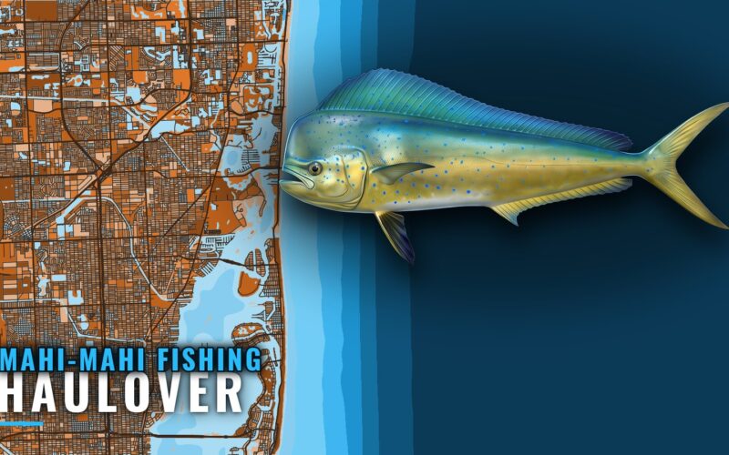 Mahi-Mahi Fishing out of Haulover: Run, Depths and Boats