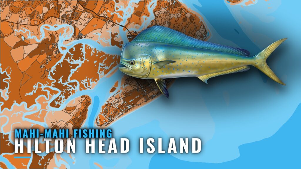Mahi-Mahi Fishing Out of Hilton Head Island: Runs and Reefs