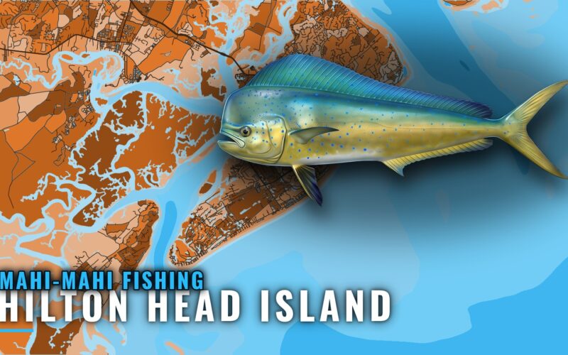 Mahi-Mahi Fishing Out of Hilton Head Island: Runs and Reefs