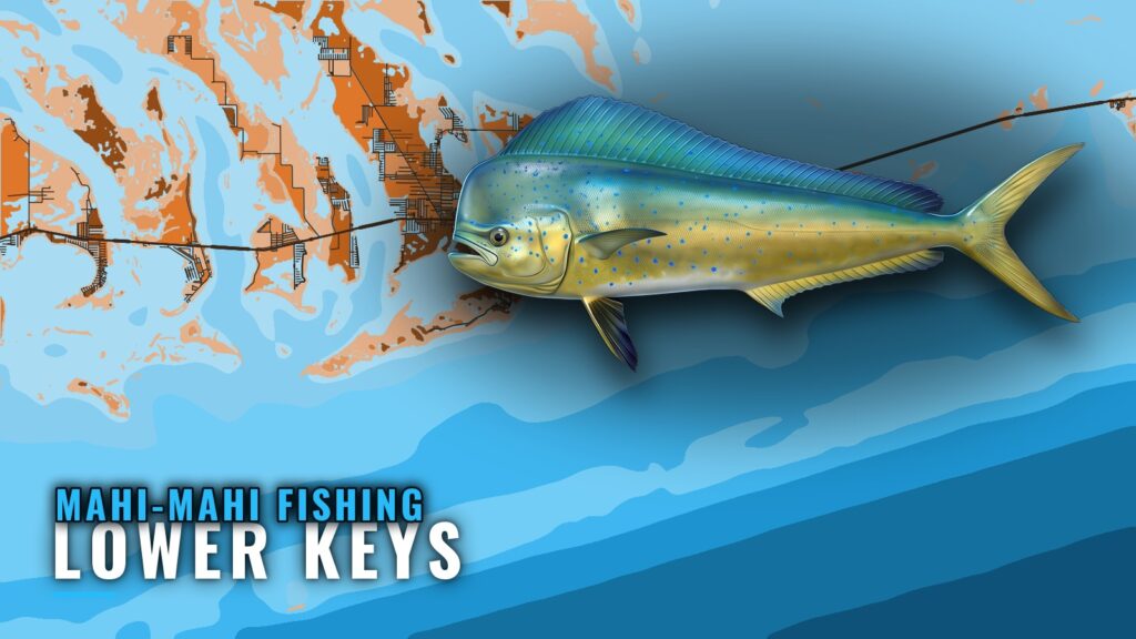 Mahi-Mahi Fishing out of the Lower Keys: Where to Run